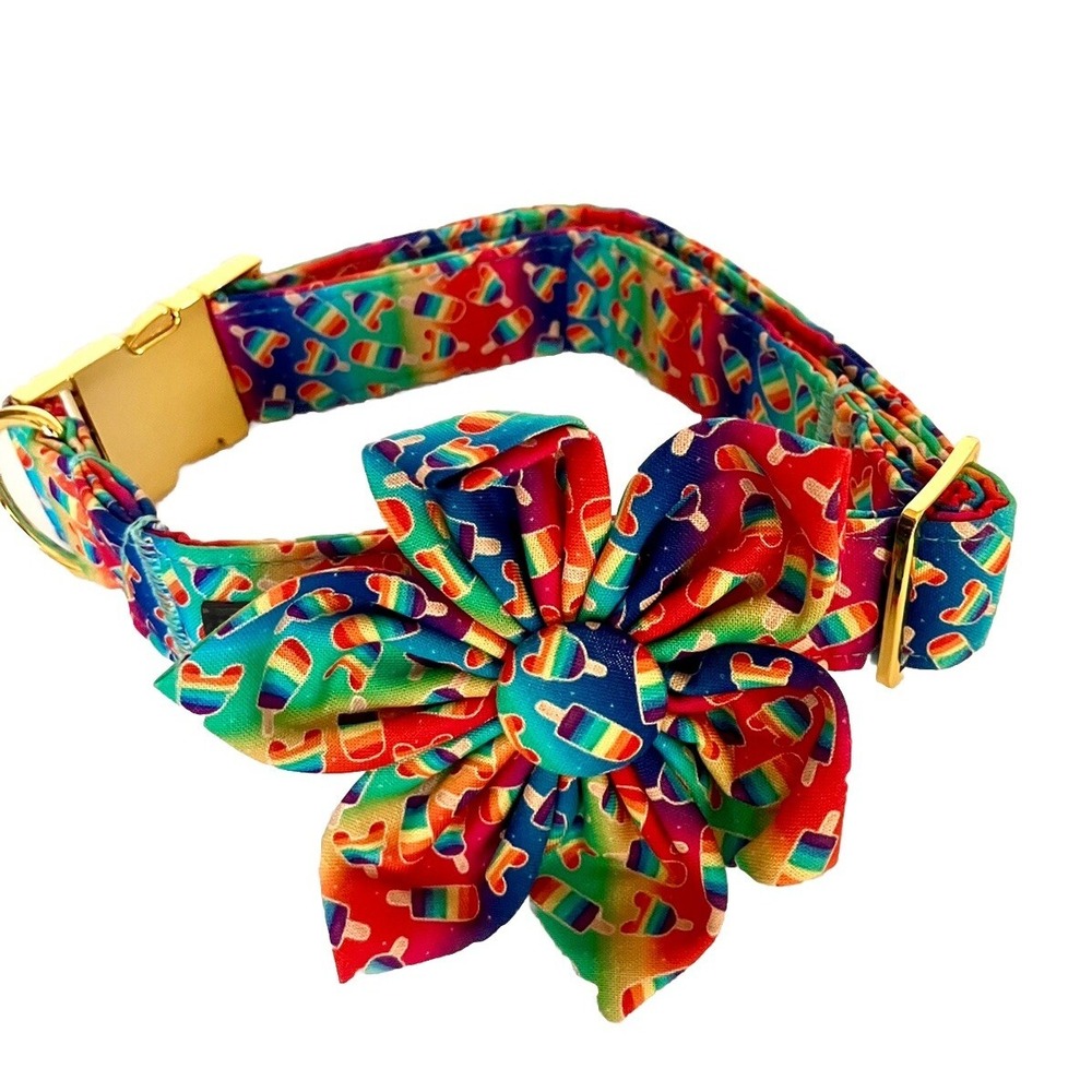 ARING PET Dog Collar Popsicles Rainbow Flower Boy Or Girl Size Large